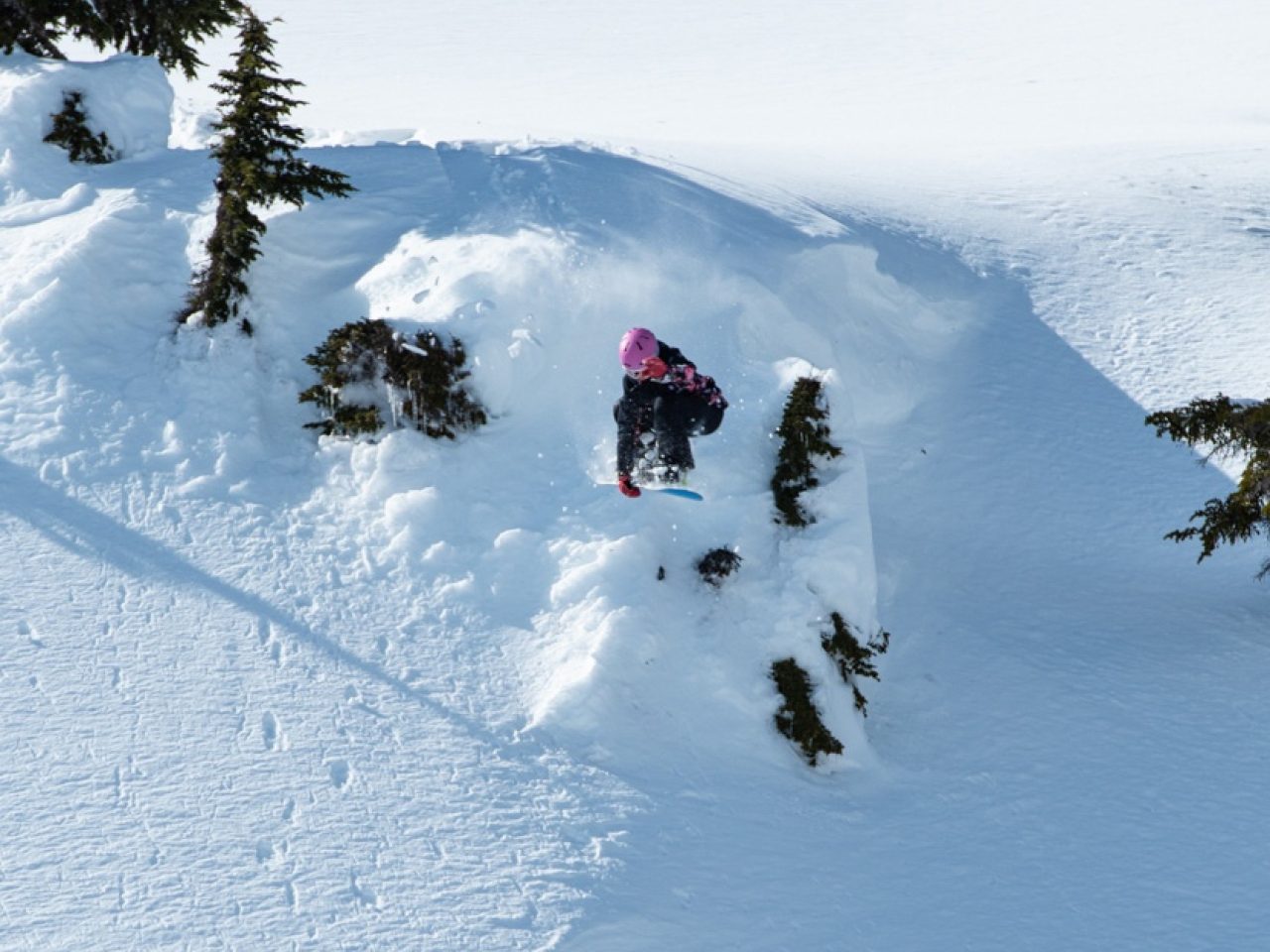 Powder snowboard crop