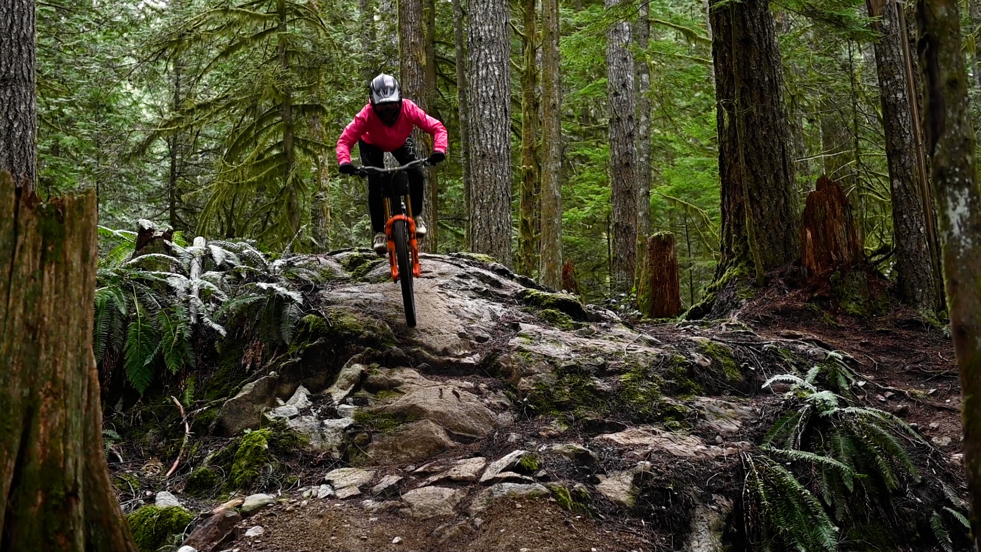 Arleigh rock ride